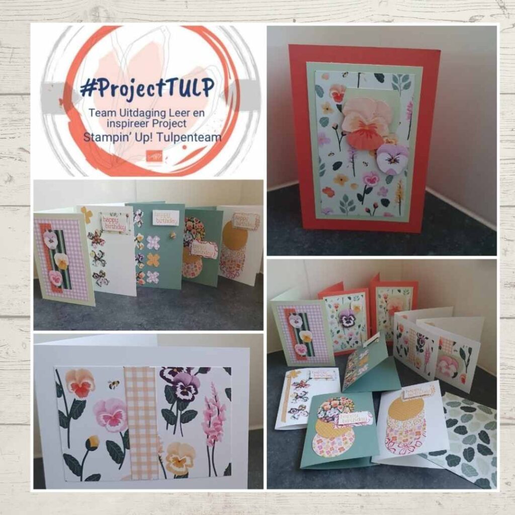 project Tulp Nienke 3