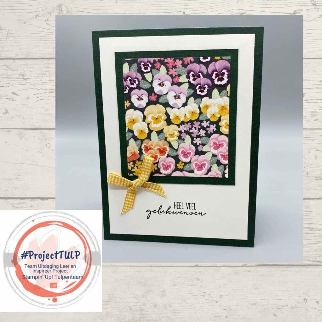 projectTulp corine 13