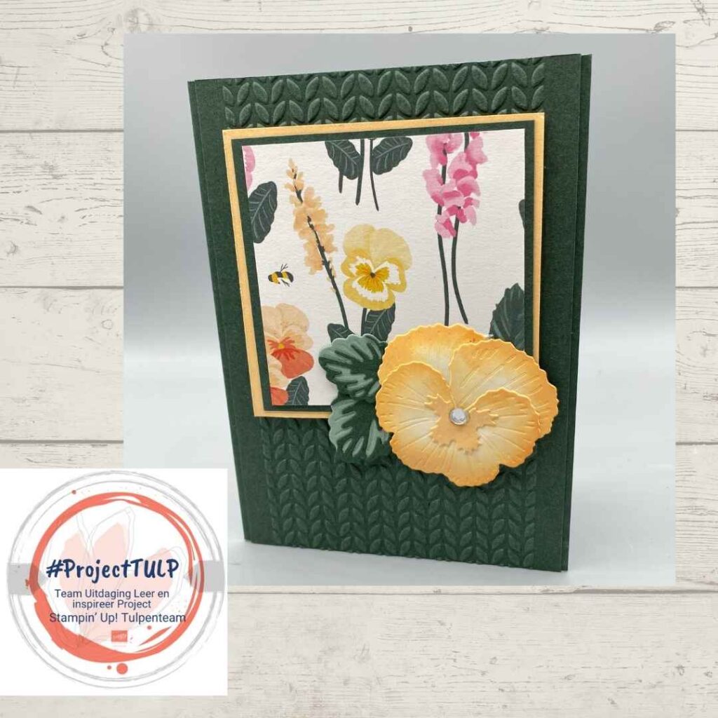 projectTulp corine5