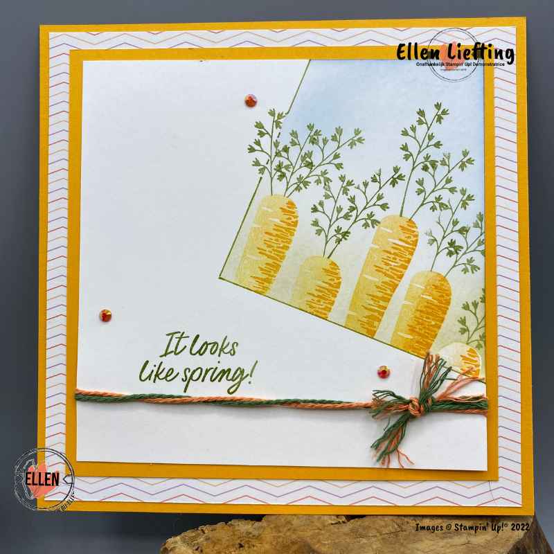 it looks like spring met thanks a bunch door ellen liefting