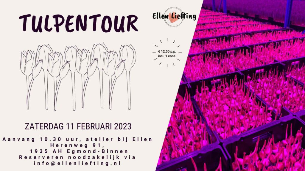 tulpentour bij Ellen feb 2023