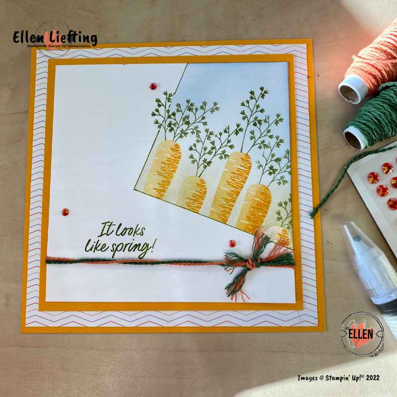 voorjaar in de lucht door ellen liefting