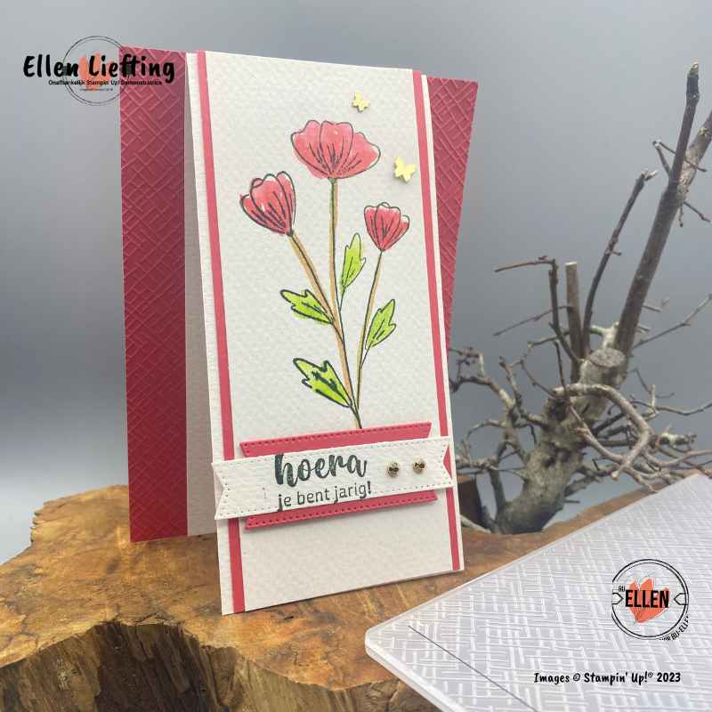 aquarellen op funfold door ellenliefting