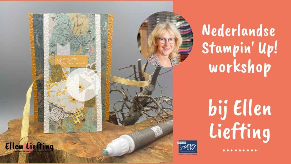 funfold fb live door ellen liefting met season of chic stampinup