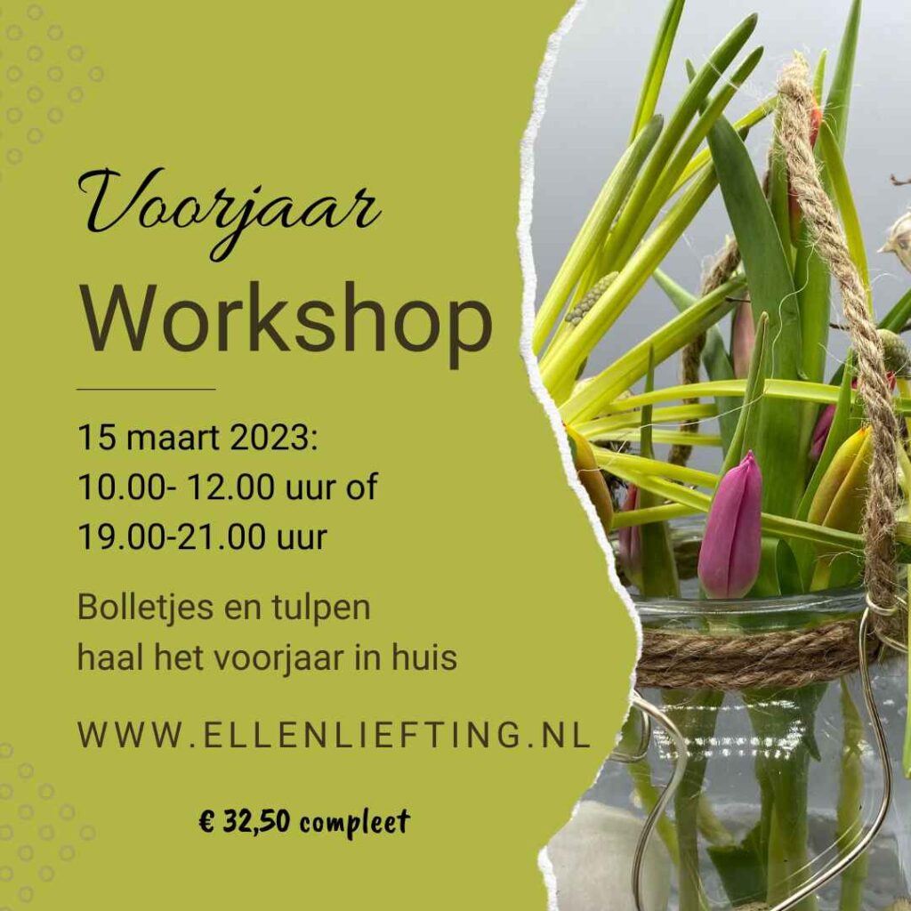 voorjaarworkshop bij ellen liefting 15 maart