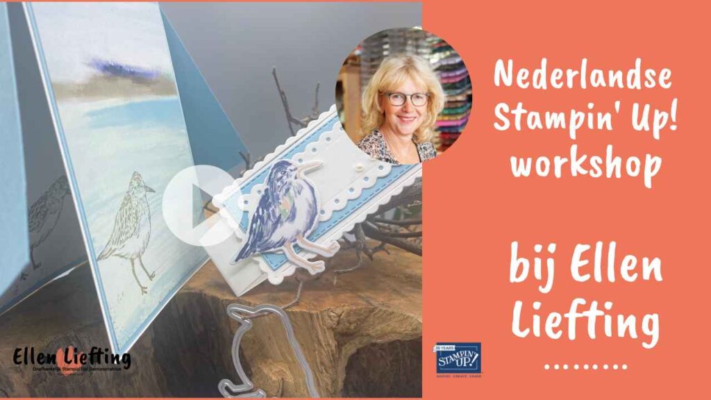 FB Live replay bij Ellen Liefting 33