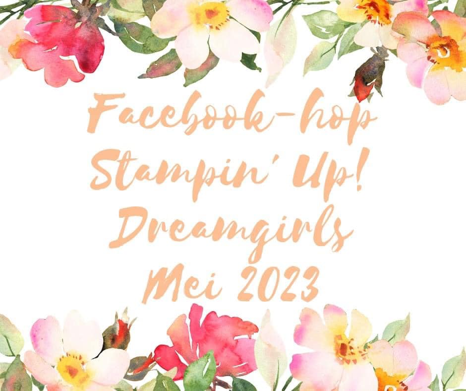 Wie heeft de tijd leren vliegen? 2 facebook hop Dreamgirls mei 2023