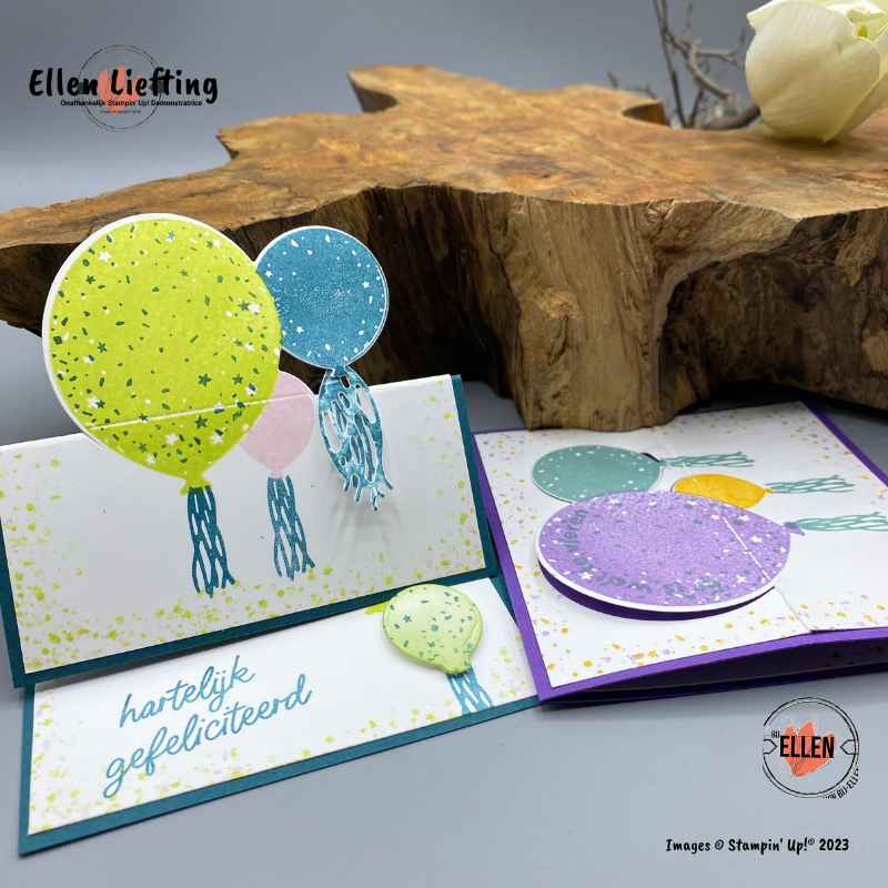 feestballonnen in vele kleuren ellen liefting