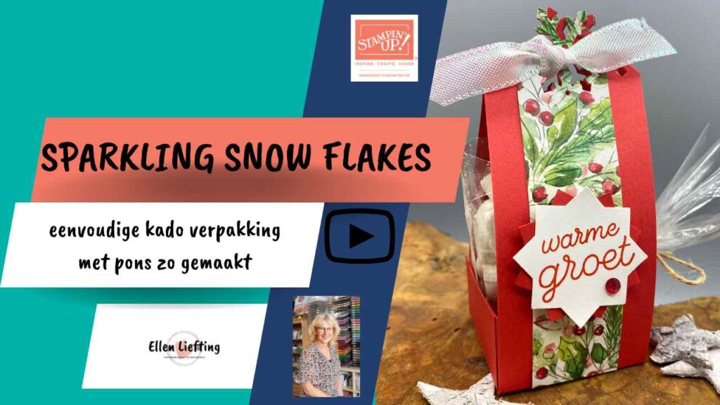 youtube thumbnail ellen liefting 3