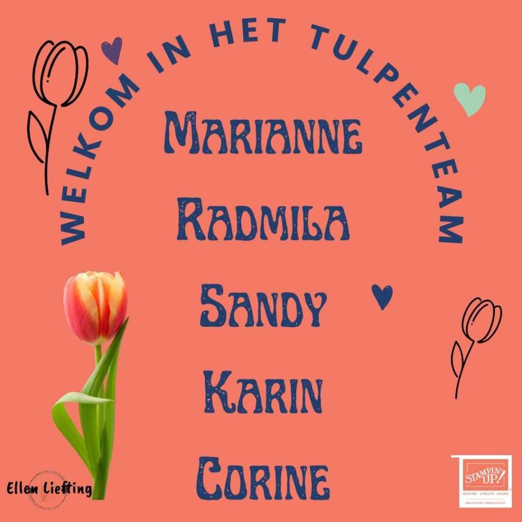Waar ben jij trots op? 4 nieuwe teamleden